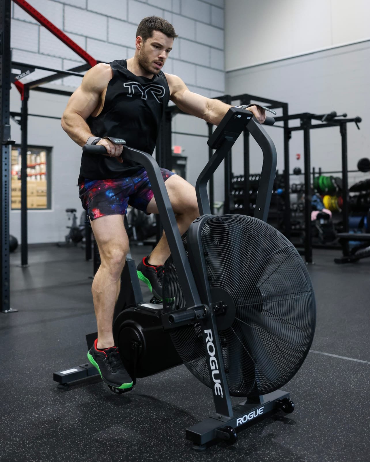 Rogue Echo Bike